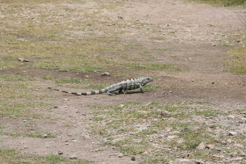 Mexico & Guatemala 2010 - 0068